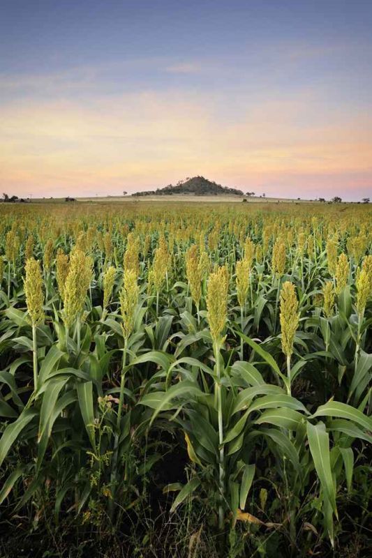 sugarloaf mountain.jpg